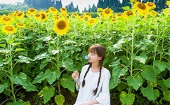 一女多男两三根同时进去